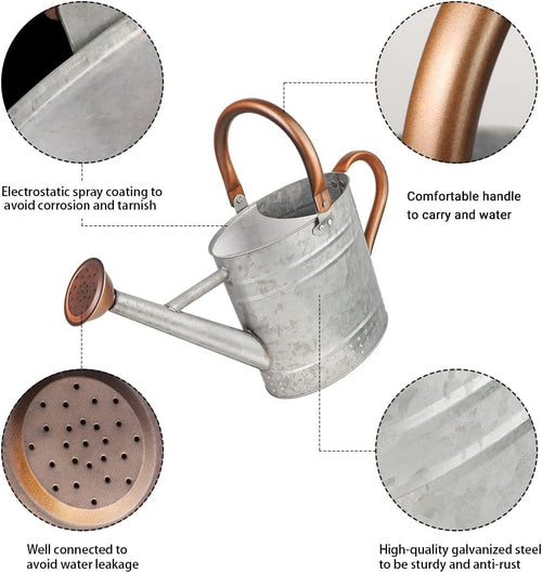 1 Gallon Metal Watering Can with Removable Spout, Nice Galvanized Steel Water Can with Embossed Design for Indoor and... - Image 2