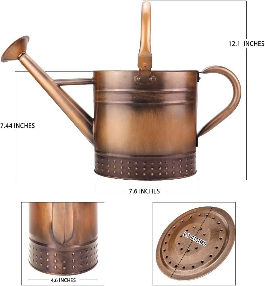 1 Gallon Metal Watering Can with Removable Spout, Nice Galvanized Steel Water Can with Embossed Design for Indoor and... - Image 6