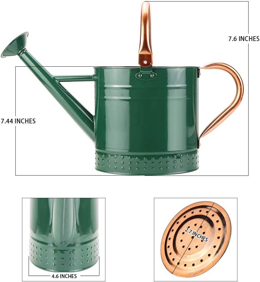 1 Gallon Metal Watering Can with Removable Spout, Nice Galvanized Steel Water Can with Embossed Design for Indoor and... - Image 6
