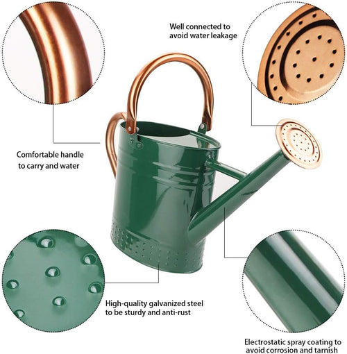 1 Gallon Metal Watering Can with Removable Spout, Nice Galvanized Steel Water Can with Embossed Design for Indoor and... - Image 2
