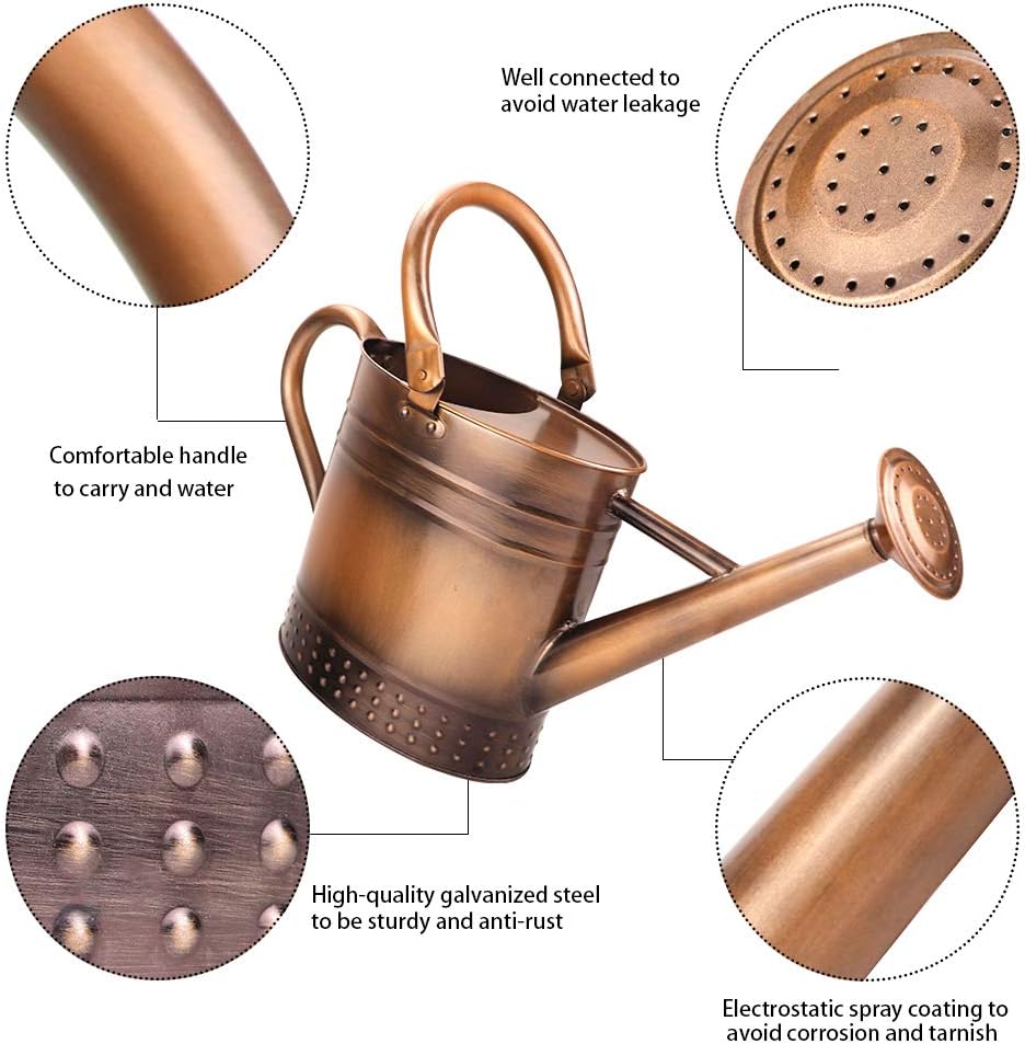 1 Gallon Metal Watering Can with Removable Spout, Nice Galvanized Steel Water Can with Embossed Design for Indoor and... - Image 2