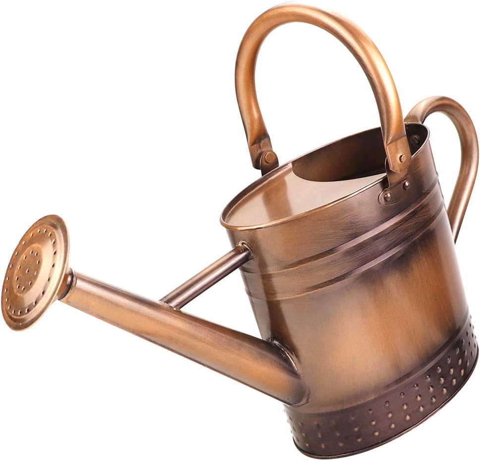 1 Gallon Metal Watering Can with Removable Spout, Nice Galvanized Steel Water Can with Embossed Design for Indoor and... - Image 6