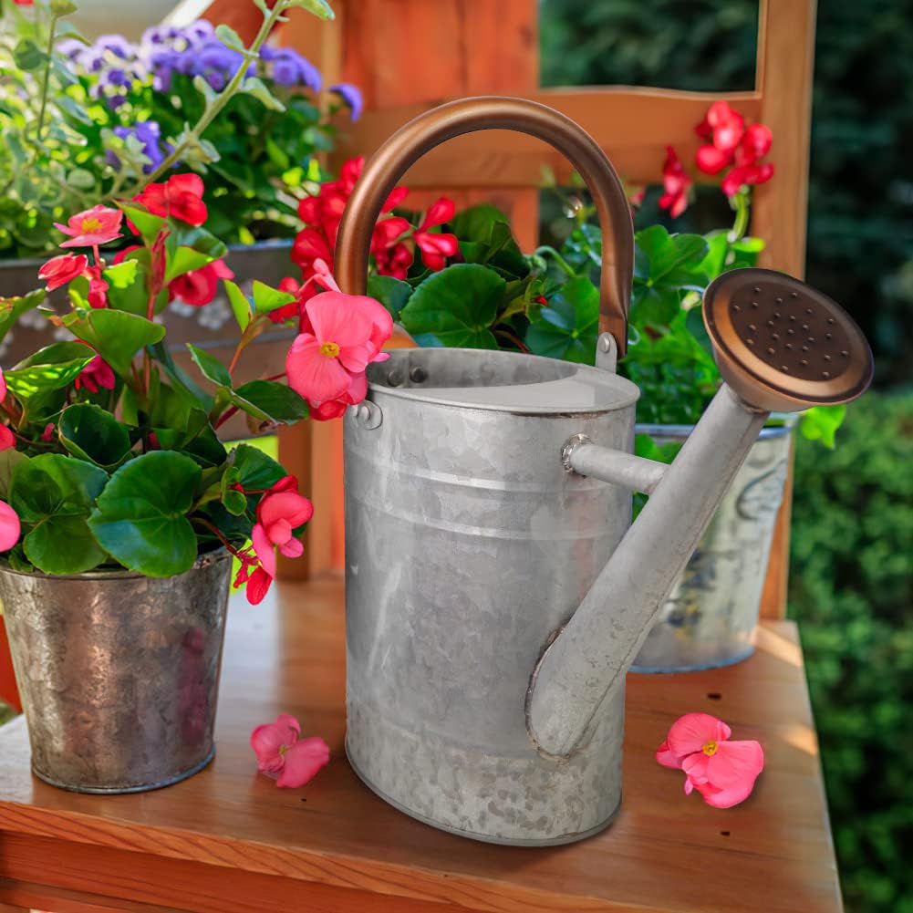 1 Gallon Metal Watering Can with Removable Spout, Nice Galvanized Steel Water Can with Embossed Design for Indoor and... - Image 3