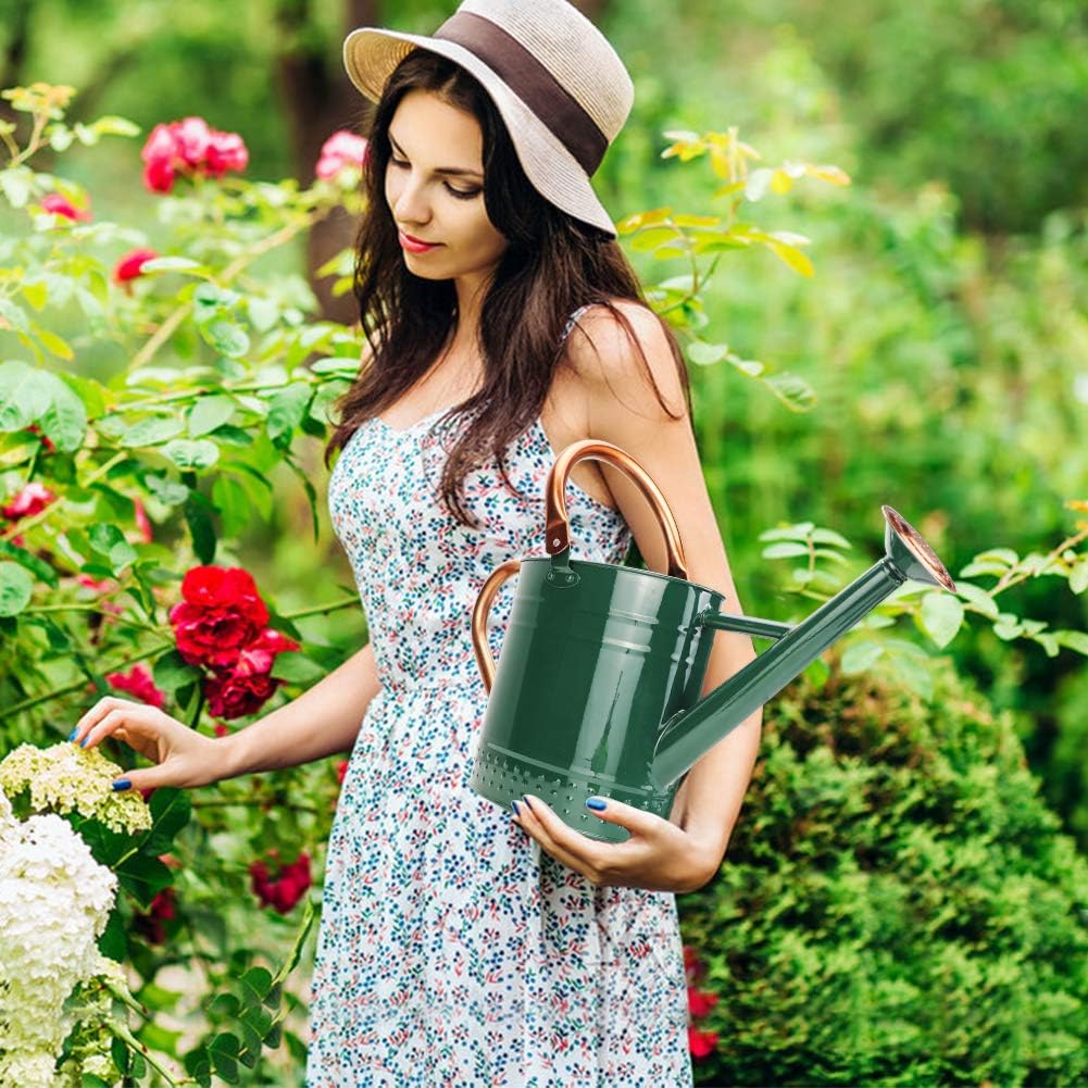 1 Gallon Metal Watering Can with Removable Spout, Nice Galvanized Steel Water Can with Embossed Design for Indoor and... - Image 5