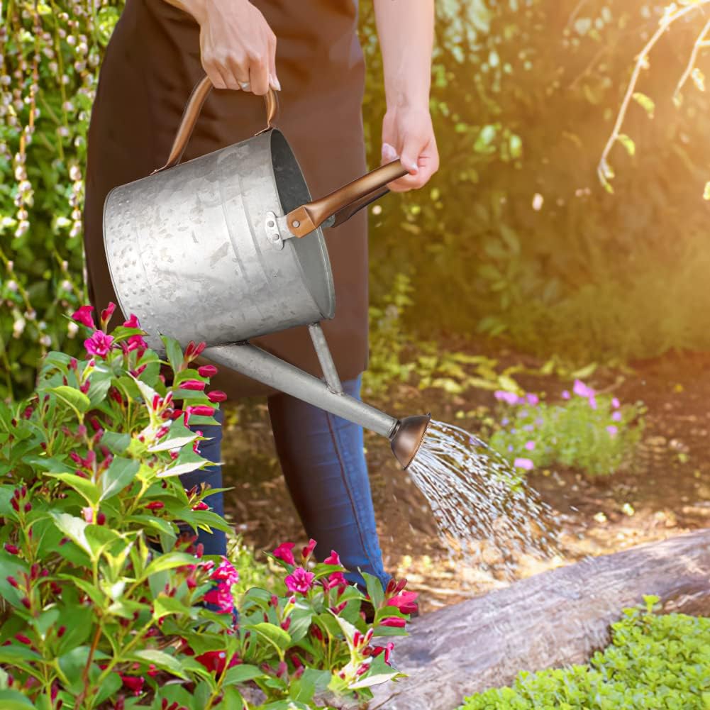 1 Gallon Metal Watering Can with Removable Spout, Nice Galvanized Steel Water Can with Embossed Design for Indoor and... - Image 4