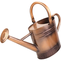 1 Gallon Metal Watering Can with Removable Spout, Nice Galvanized Steel Water Can with Embossed Design for Indoor and...