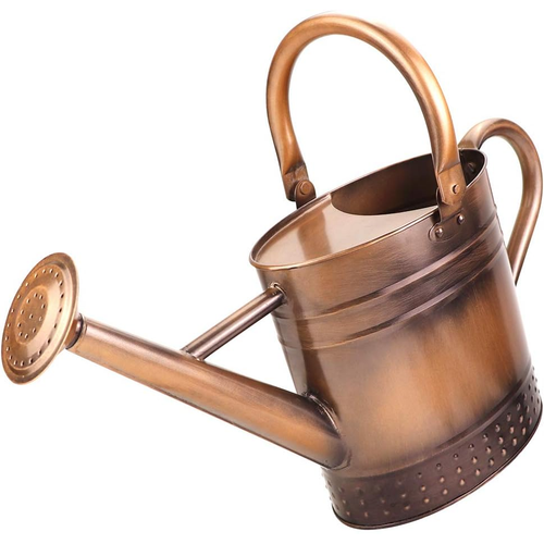 1 Gallon Metal Watering Can with Removable Spout, Nice Galvanized Steel Water Can with Embossed Design for Indoor and...
