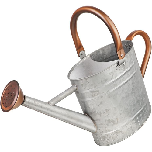 1 Gallon Metal Watering Can with Removable Spout, Nice Galvanized Steel Water Can with Embossed Design for Indoor and...