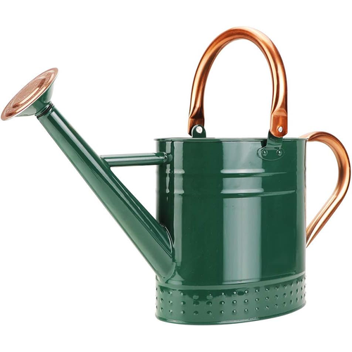 1 Gallon Metal Watering Can with Removable Spout, Nice Galvanized Steel Water Can with Embossed Design for Indoor and...